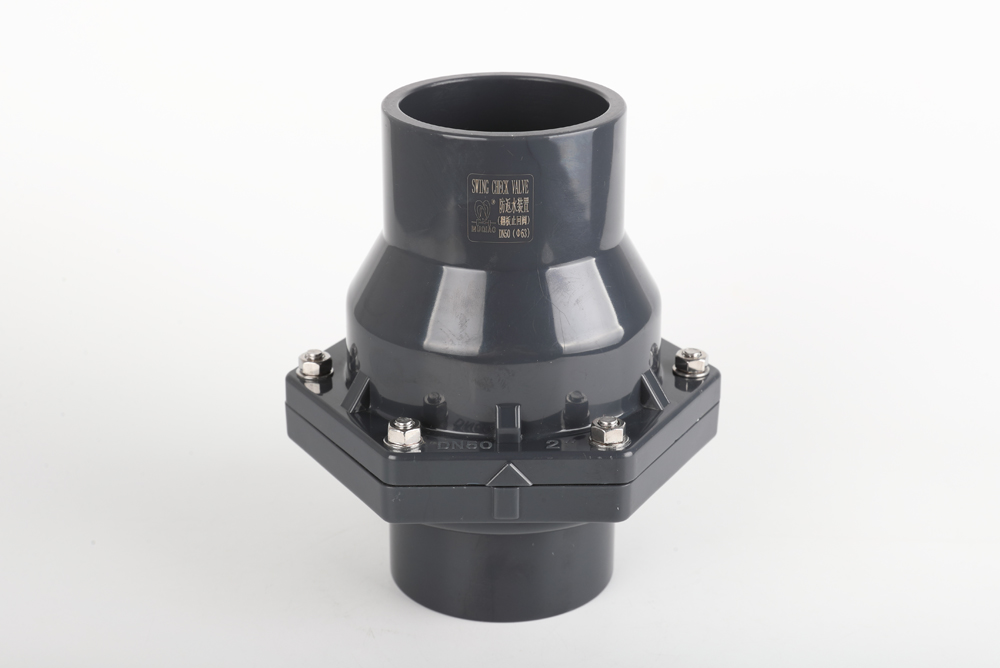 建昌翻板式止回阀